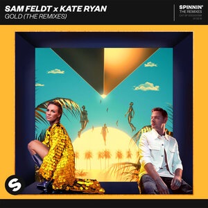 Sam Feldt 17