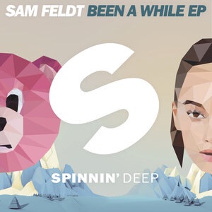 Sam Feldt 16