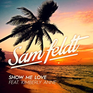 Sam Feldt 12