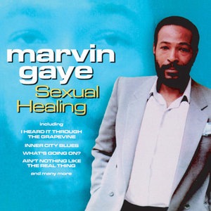 Marvin Gaye 23