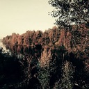 Счастье жить без страсти