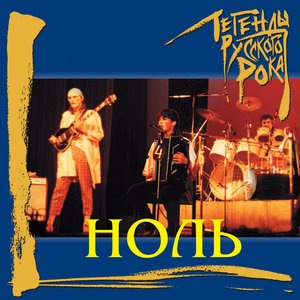 Человек и кошка