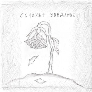 Поцелуй асфальта