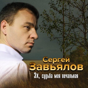 Сергей Завьялов 6