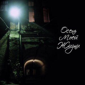 Под светом фонарей