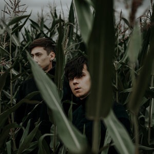 Остановись