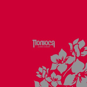 Холодное лето