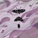 Если умирать, то на юге