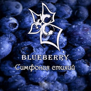 Blueberry 1