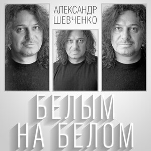 Александр Шевченко 3