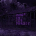 Camp in the Forest