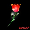 Вспоминай меня