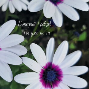 Дмитрий Гревцев 7