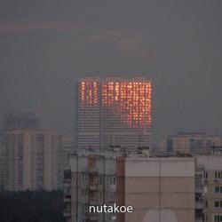 А я всё такой же - с гитарой и тленом под кожей