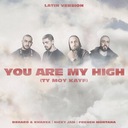 You Are My High (Ty moy kayf)