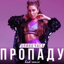 Пропаду