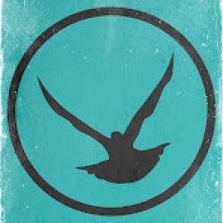 Ледники не тают