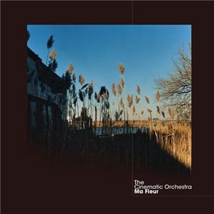 The Cinematic Orchestra 6