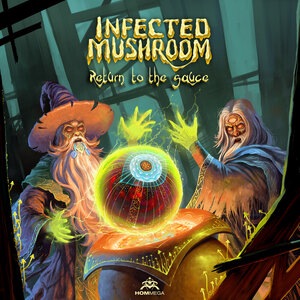 Infected Mushroom 20