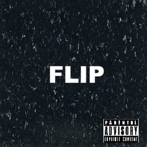 Flip