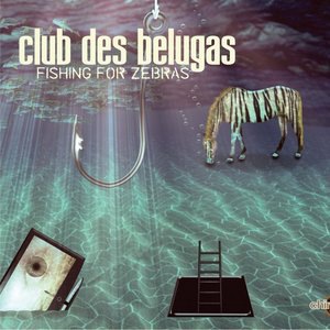 Club Des Belugas 4