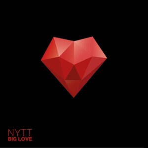 NYTT 2
