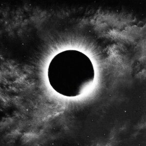 Der Weg Einer Freiheit 1