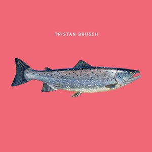 Tristan Brusch 3