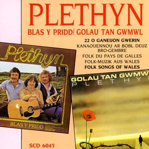 Plethyn 1