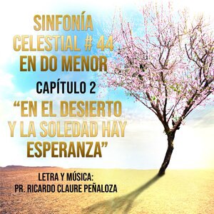 Ricardo Claure Peñaloza 2