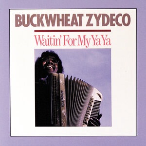 Buckwheat Zydeco 6