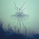 Delightful Blindness