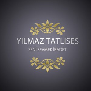 Yılmaz Tatlıses 2