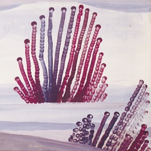 Year Waxing, Year Waning