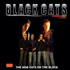 Black Cats 2
