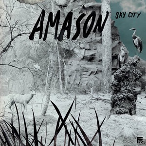 Amason 1