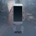 Freedom for the Stallion