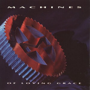 Machines Of Loving Grace 3