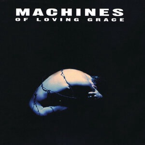 Machines Of Loving Grace 2