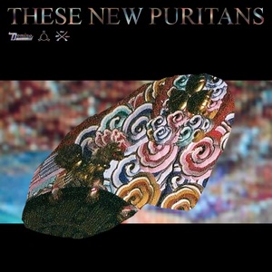 These New Puritans 1