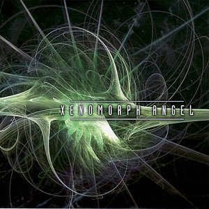 Blue Birds Refuse To Fly 1