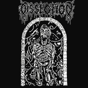 Dissection 11