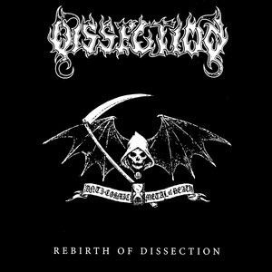 Dissection 8