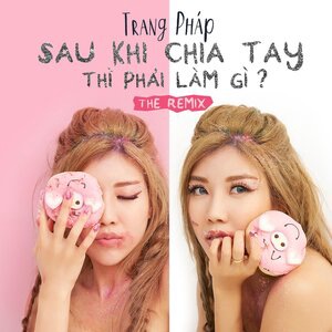 Trang Pháp 1