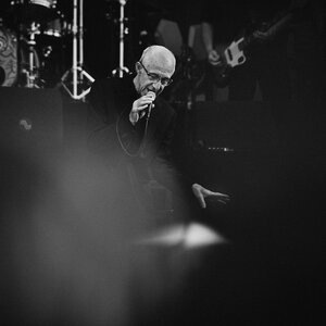 Raymond Van Het Groenewoud 8