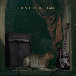 The Moth 4