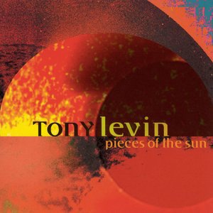 Tony Levin 5