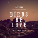 Birds Of Love