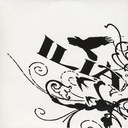 Portrait of a Lying Heart