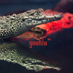 Gookin'